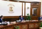 مدبولي يبحث مع ضياء رشوان سبل تنفيذ توجيهات الرئيس السيسي لمراجعة أوضاع الإعلام في مصر