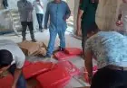 ضبط ٥٩ طنا من أسماك الهارنج الفاسدة في كفر الدوار بالبحيرة