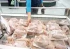 تعرّف على سعر الفراخ اليوم الثلاثاء 7 يوليو 2026: الفراخ البيضاء تبدأ من 63 جنيهًا في المزارع