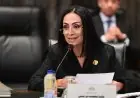 صرف معاشات تكافل وكرامة لشهر يوليو بأكثر من 4 مليارات جنيه ابتداءً من الغد