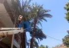 تحسين خدمات الإنارة بقرى مركز أسيوط لزيادة السلامة المرورية بإشراف المحافظة
