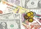 سعر الدولار يهبط أمام الجنيه قرب انتهاء تعاملات اليوم في البنوك