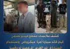 الداخلية تكشف ملابسات واقعة جاموسة في ميكروباص بالبحيرة: القبض على السائق والجاموسة