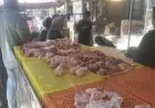 ضبط محل في شبرا الخيمة يحقن الدواجن لزيادة الأوزان بشكل غير قانوني