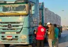 الهلال الأحمر يعزز التضامن مع الفلسطينيين بإرسال قافلة زاد العزة 238 بالمساعدات الغذائية والطبية والإغاثية