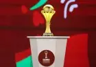 محمد أضا يؤكد أن تنظيم كأس أمم أفريقيا كل 4 سنوات يسعى لتحقيق رضا الفيفا والأندية الأوروبية فقط