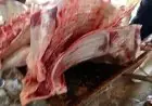 إعدام عجل غير صالح في مجزر بأسيوط بواسطة مديرية الطب البيطري