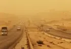 محادثات هاتفية بين وزير الخارجية ونظيريه الإيراني والعماني لتعزيز جهود خفض التصعيد وضمان حرية الملاحة
