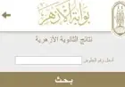 استعلم الآن عن نتيجة الثانوية الأزهرية 2026 برقم الجلوس ونسبة نجاح 54.18%