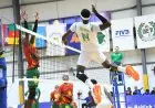 منتخب نيجيريا يتألق ويتأهل لنهائي بطولة أفريقيا للطائرة بعد التفوق على الكاميرون