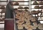 شعبة المخابز تؤكد: خصم مباشر دون تأثير على المواطن أو سعر الرغيف