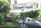 مصر تنتج 4 مليارات عبوة دواء سنويًا وتصدر بقيمة 1.5 مليار دولار للأسواق العالمية وفقًا لرئيس شعبة الصيادلة