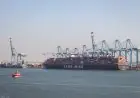 مرموش ينشر لحظات رومانسية خاصة من إيطاليا قبل حفل زفافه