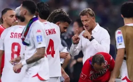 رحيل رينارد عن تدريب منتخب تونس بعد كأس العالم بعد فترة قصيرة