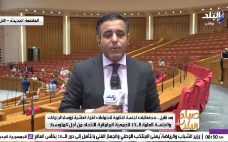 الجلسة العامة للجمعية البرلمانية للاتحاد من أجل المتوسط: تفاصيل وأحداث هامة