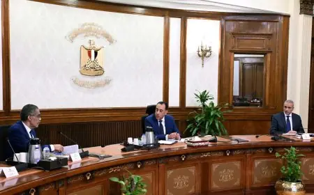 مدبولي يبحث مع ضياء رشوان سبل تنفيذ توجيهات الرئيس السيسي لمراجعة أوضاع الإعلام في مصر
