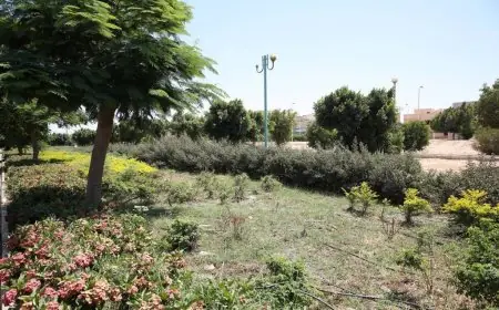 وزيرة الإسكان تطالب بالانتهاء السريع من تطوير طرق وزراعة مدينة بدر