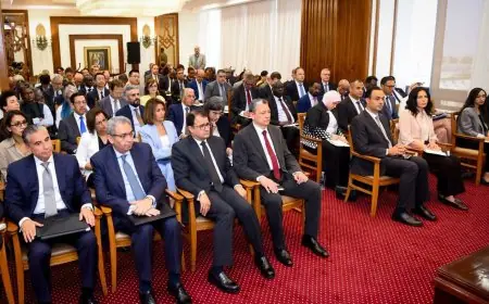 جلسة مشتركة لوزيري الخارجية والبترول مع ممثلي السفارات الأجنبية في مصر تعزز التعاون الدولي