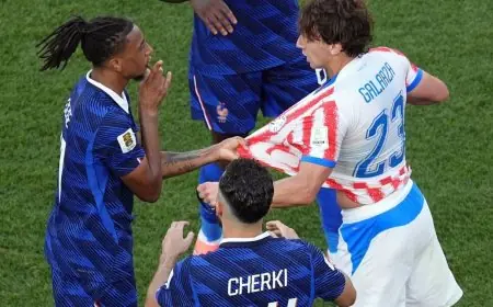 الاتحاد الفرنسي يسعى لإلغاء البطاقة الصفراء لأليس