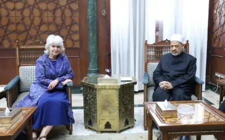 شيخ الأزهر يدعو إلى توافق عالمي حول حقوق الإنسان واحترام الخصوصية الدينية للشعوب