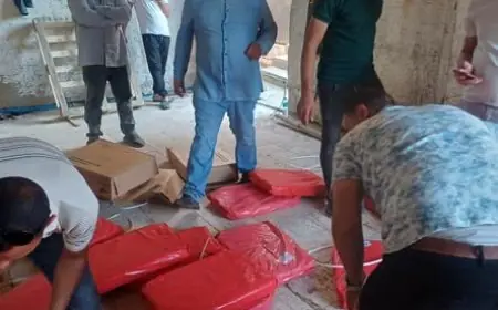 ضبط ٥٩ طنا من أسماك الهارنج الفاسدة في كفر الدوار بالبحيرة