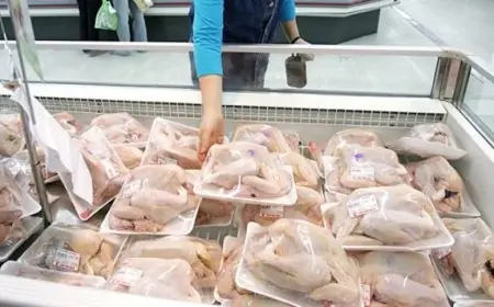تعرّف على سعر الفراخ اليوم الثلاثاء 7 يوليو 2026: الفراخ البيضاء تبدأ من 63 جنيهًا في المزارع