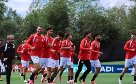 قنا تعلن التأهب الكامل استعدادًا لمباراة المنتخب الوطني ضد الأرجنتين في كأس العالم