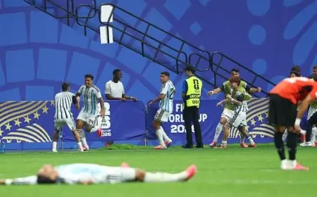 هدف إينزو فيرنانديز التاريخي يُحقق الرقم 3000 في كأس العالم خلال مباراة مصر والأرجنتين