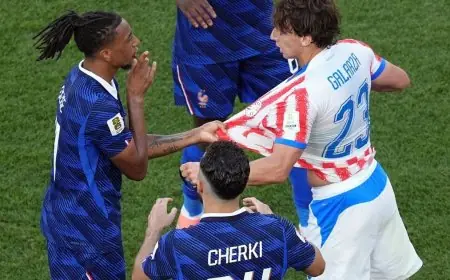 فيفا يثبت البطاقة الصفراء ضد أوليس في مباراة فرنسا وباراغواي