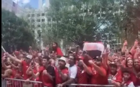 وزارة الخارجية تشيد بدور المصريين بالخارج في دعم المنتخب الوطني في كأس العالم