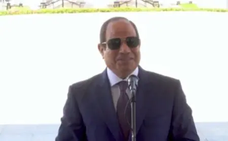 الرئيس السيسي يعبّر عن شكره لحسام وإبراهيم حسن: «من الضروري أن يكون كل شخص مسؤول عنا من بيننا»