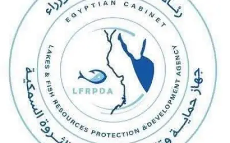 جهاز حماية البحيرات يعزز نمو المسطحات المائية بإطلاق 15 مليون وحدة زريعة جديدة