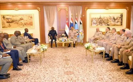 الفريق أشرف زاهر يجتمع مع وزير الدفاع والمحاربين القدماء في الكونغو الديمقراطية