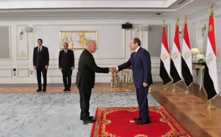 هاني أبو ريدة يعبّر عن شكره للرئيس السيسي: دعمكم كان حافزًا لنجاح منتخب مصر في كأس العالم