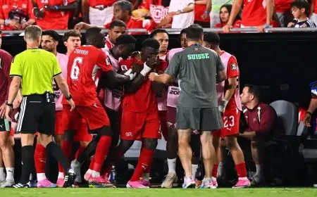 كيف أسهم قانون جديد في تحويل مسار الأرجنتين في كأس العالم وتحقيق النجاح