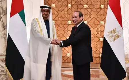 الرئيس المصري السيسي يرحب بنظيره الإماراتي محمد بن زايد في القاهرة