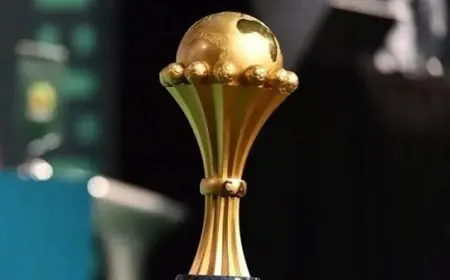 اتحاد الكرة: نحن نتفحص بجدية استضافة كأس أمم إفريقيا 2028