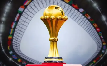 مصر تخطط لاستضافة كأس أمم إفريقيا 2028 بجدية