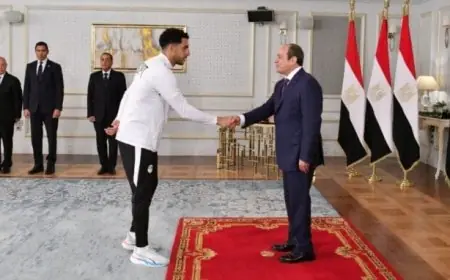 وسام على صدري.. مصطفى شوبير يشكر الرئيس السيسي بعد تكريم منتخب مصر