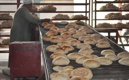 محافظ بورسعيد يوقف تشغيل مخبز في حي الزهور بسبب مخالفات صحية