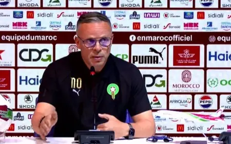 وهبي يصرح: فارق كبير بين لاعبي المغرب ومنتخب فرنسا