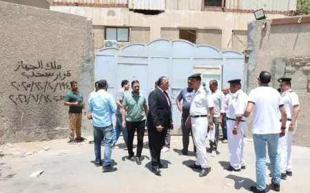 التنمية الصناعية تستعيد الأراضي غير المستغلة في أكتوبر وبرج العرب لإعادة طرحها للمستثمرين الجادين