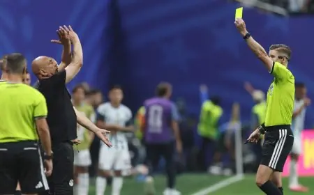 فيفا يترقب اختتام كأس العالم لاتخاذ إجراءات ضد منتقدي التحكيم