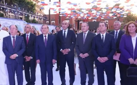 52 اتفاقية وأكثر من 80 مشروعًا أكاديميًا مشتركًا تعزز الشراكة في البحث العلمي والابتكار في مجال التعليم العالي