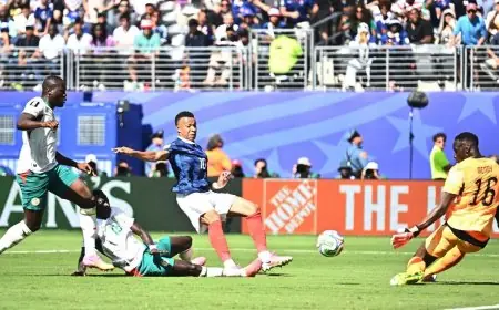 فضيحة جديدة تهز معسكر السنغال في كأس العالم وميندي يتكبد العواقب
