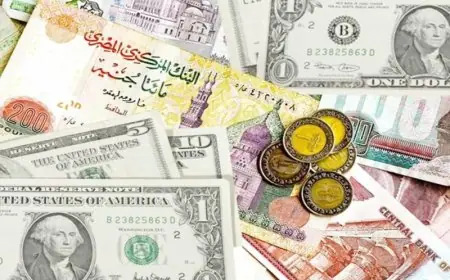 سعر الدولار يهبط أمام الجنيه قرب انتهاء تعاملات اليوم في البنوك