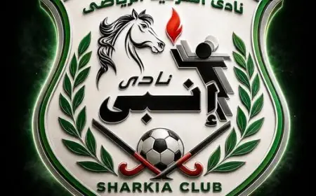 رئيس الشرقية يكشف عن ملعب مواجهات الأهلي والزمالك بعد دمجهما مع إنبي
