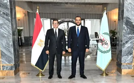 رئيس المخابرات المصرية يلتقي وكيل دفاع ليبيا لتعزيز التعاون الأمني واستقرار البلاد