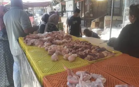 ضبط محل في شبرا الخيمة يحقن الدواجن لزيادة الأوزان بشكل غير قانوني