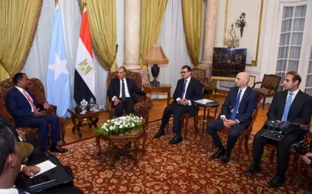 مباحثات بين وزير الخارجية ونظيره الصومالي حول آخر تطورات القرن الأفريقي